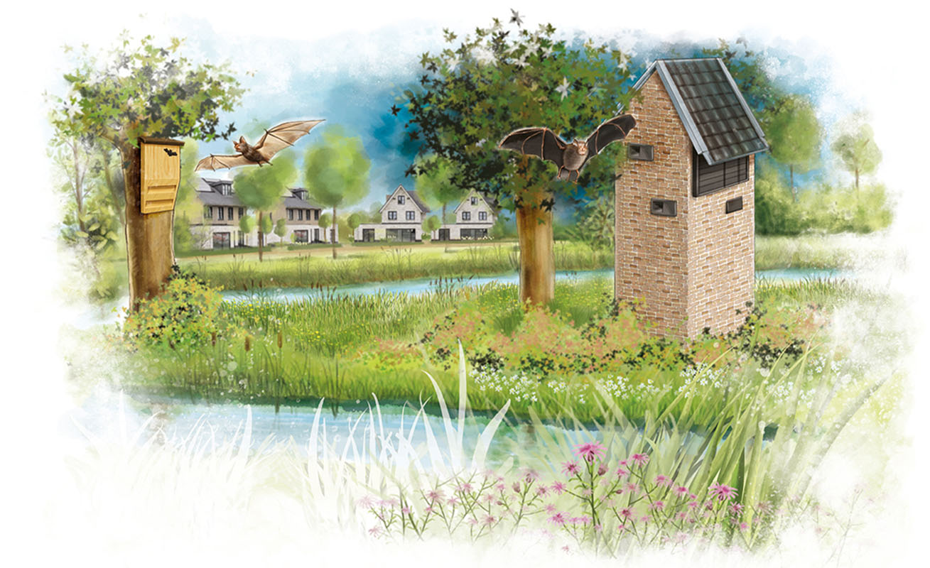 Amstelwijk natuurinclusief. milieubewuste woonwijk in Dordrecht gescheiden riool, aandacht voor flora en fauna
