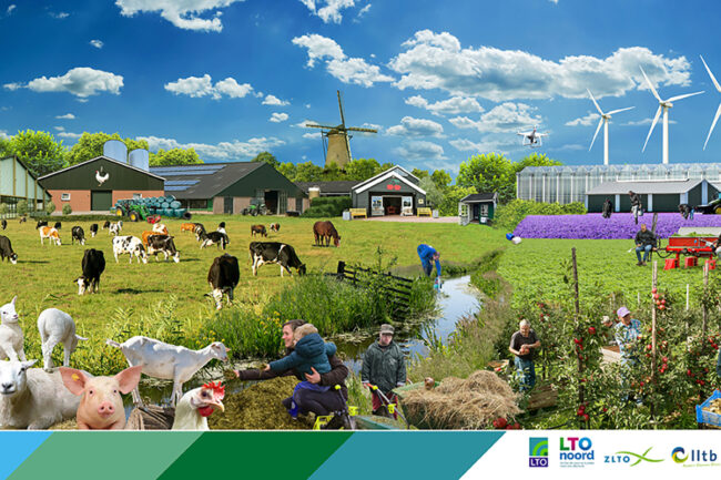 Fotocompilatie van diverse bedrijfstakken van de LTO Noord voor verschillende uitingen als een beurswand. Eigen fotografie en opmaak.